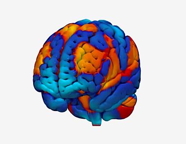 Scientists find common brain network for substance use disorders